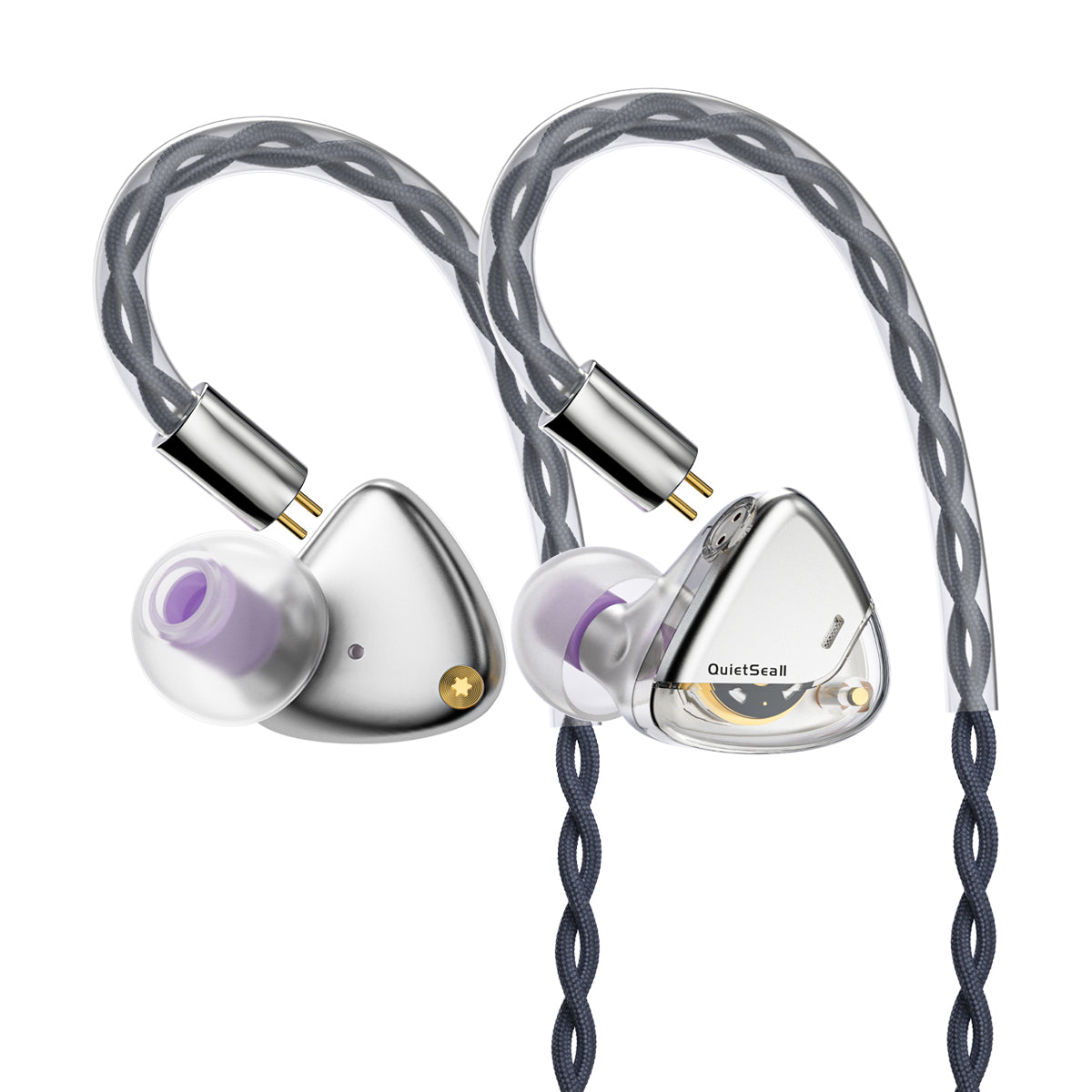 ROSESELSA QuietSea II Dynamic Diaphragm Driver IEM HIFI Wired in Ear Earphones Monitors with Module Cable