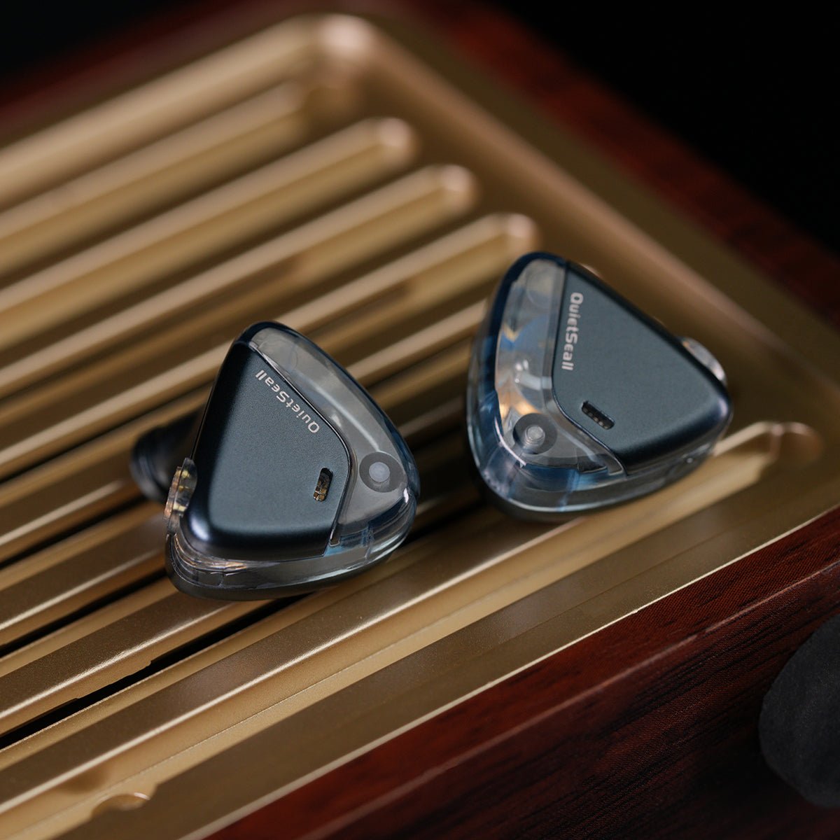 ROSESELSA QuietSea II Dynamic Diaphragm Driver IEM HIFI Wired in Ear Earphones Monitors with Module Cable - HIFICHOI